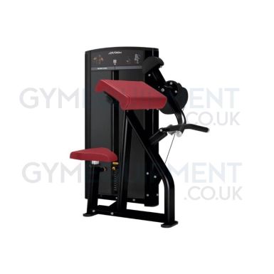 Life Fitness Axiom Series Bicep Curl 