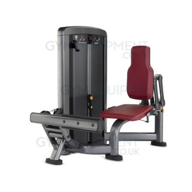 Life Fitness Insignia Series Calf Extension