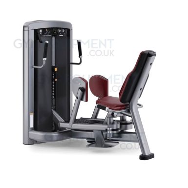 Life Fitness Insignia Series Sit/Stand Hip Abduction