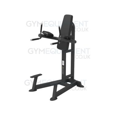 Spirit Fitness Leg Raise / Dip Station