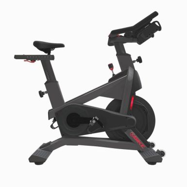 Schwinn Za Indoor Bike