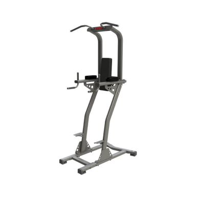exigo chin dip leg raise