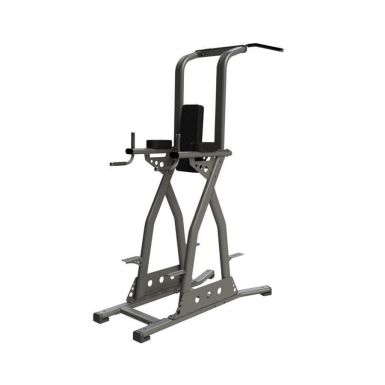 exigo rear chin, dip and leg raise