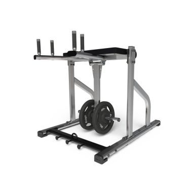 exigo reverse hyper extension