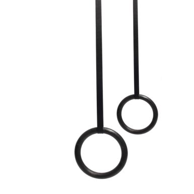 ABS Plastic Olympic Gym Rings (Set)
