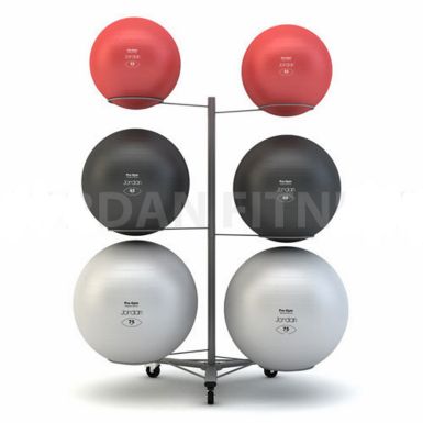 Fit Ball Rack - Holds 6 balls