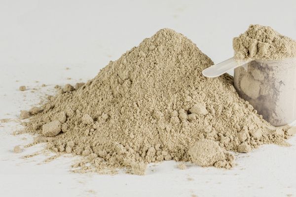 The Importance of Protein for Muscle Building