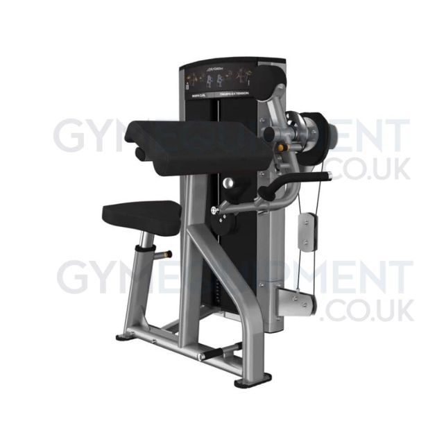 Life Fitness Axiom Series Triceps Extension