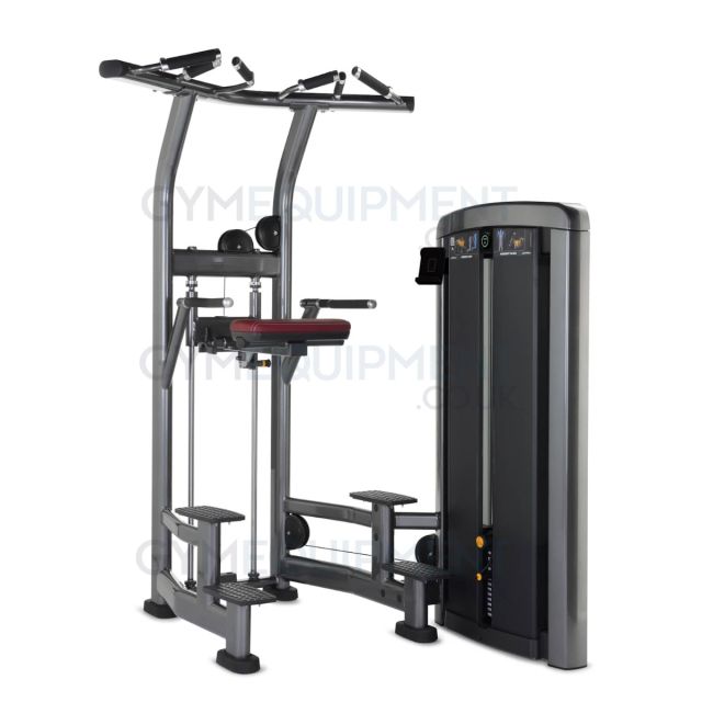 Life Fitness Insignia Series Assisted Dip Chin