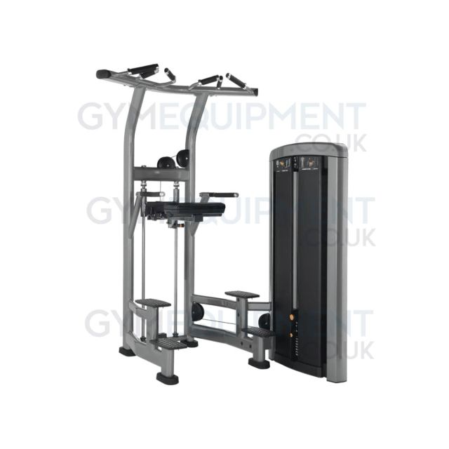 Life Fitness Insignia Series Assisted Dip Chin