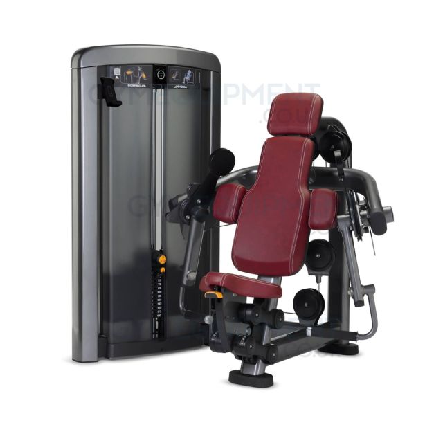 Life Fitness Insignia Series Biceps Curl
