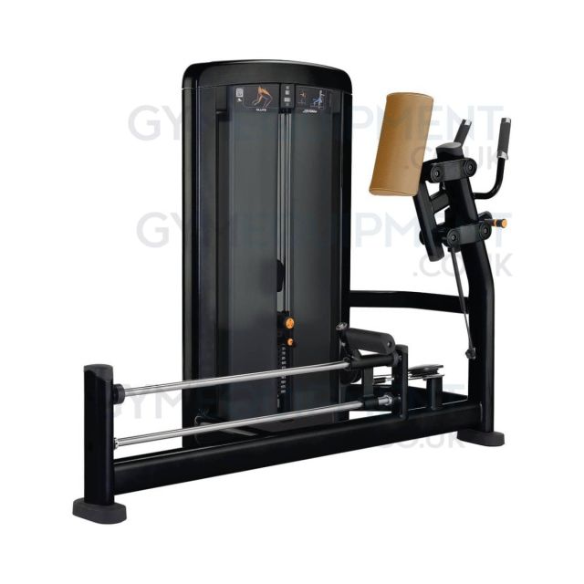 Life Fitness Insignia Series Glute