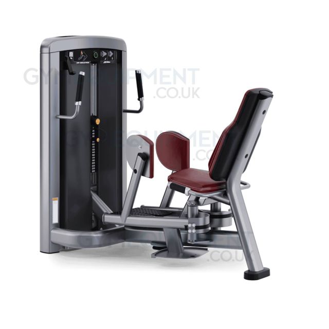 Life Fitness Insignia Series Sit/Stand Hip Abduction