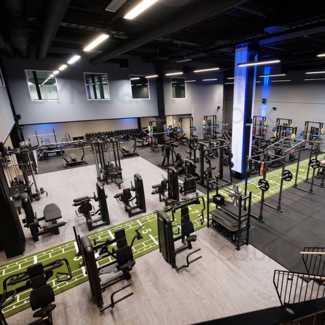 Pavigym Traffic Vinyl Gym Flooring - Wood Effect