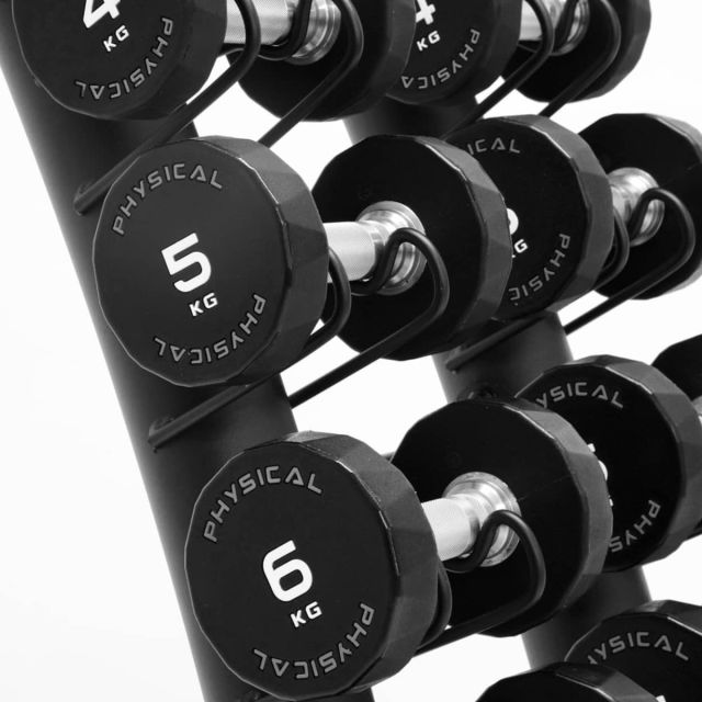 Physical Upright Rack with 10 Pairs PU Dumbbells 1kg-10kg
