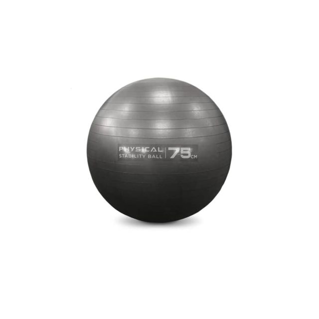 Physical Stability Balls (55cm, 65cm, 75cm)
