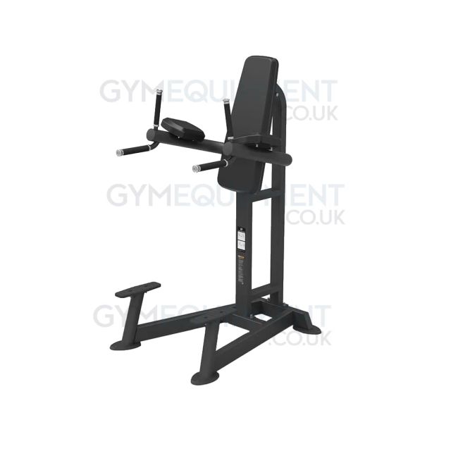 Spirit Fitness Leg Raise / Dip Station