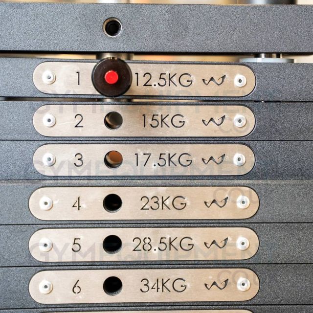 Watson Dual Adjustable Pulley (DAP)