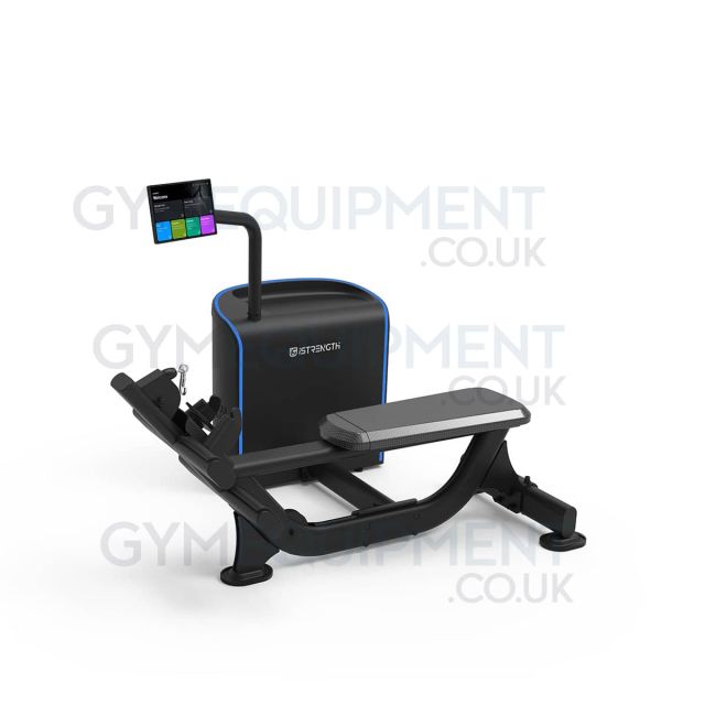 Spirit i-Strength Low Row