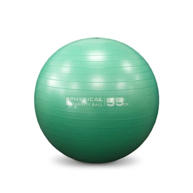 Physical Pro Stability Ball