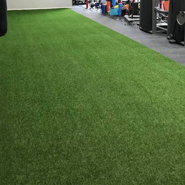 Pavigym Flooring Turf - 11mm