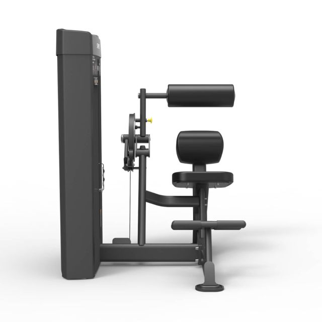Spirit Dual Series Abdominal / Back Extension