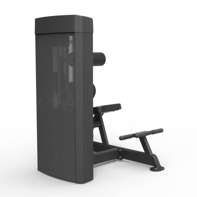 Spirit Dual Series Abdominal / Back Extension