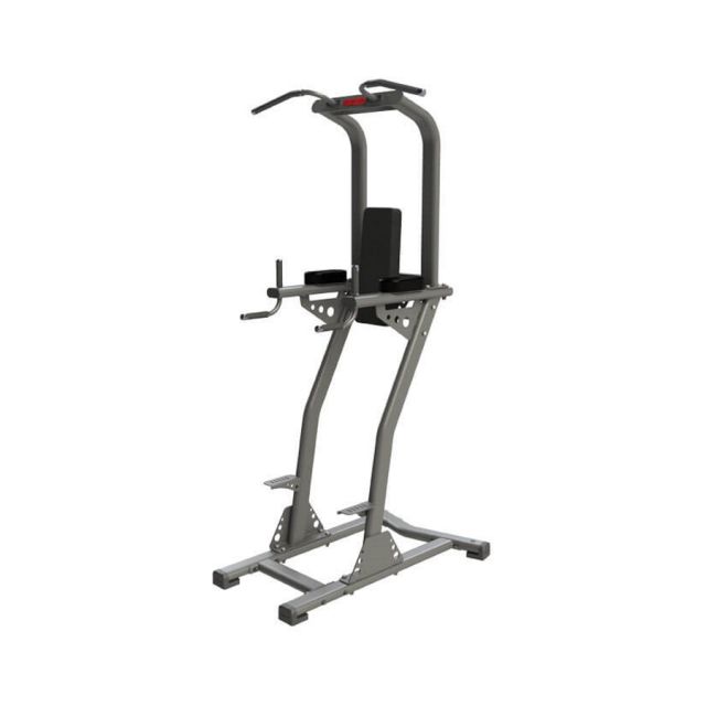 exigo chin dip leg raise