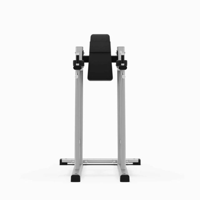 Exigo Leg Raise & Dip Station
