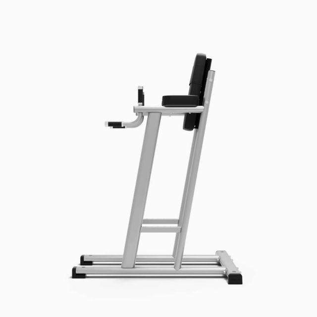 Exigo Leg Raise & Dip Station