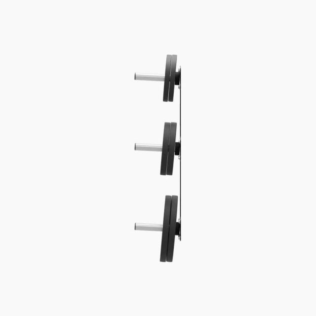 Exigo 3 Horn Wall Plate Storage