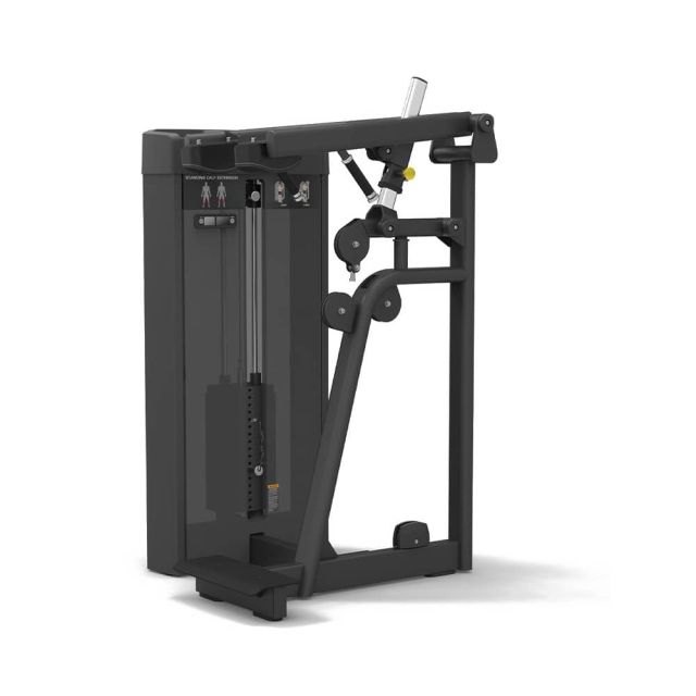 Spirit 43 Pin Select Standing Calf Extension
