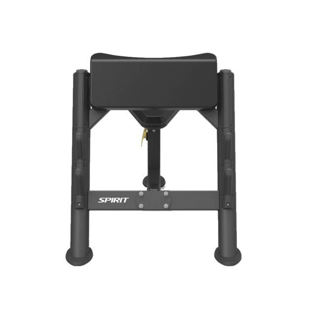 Spirit Preacher Curl Bench