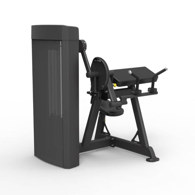 Spirit Dual Series Biceps Curl / Triceps Extension