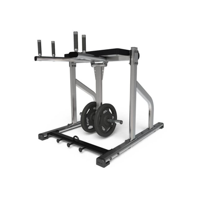 exigo reverse hyper extension